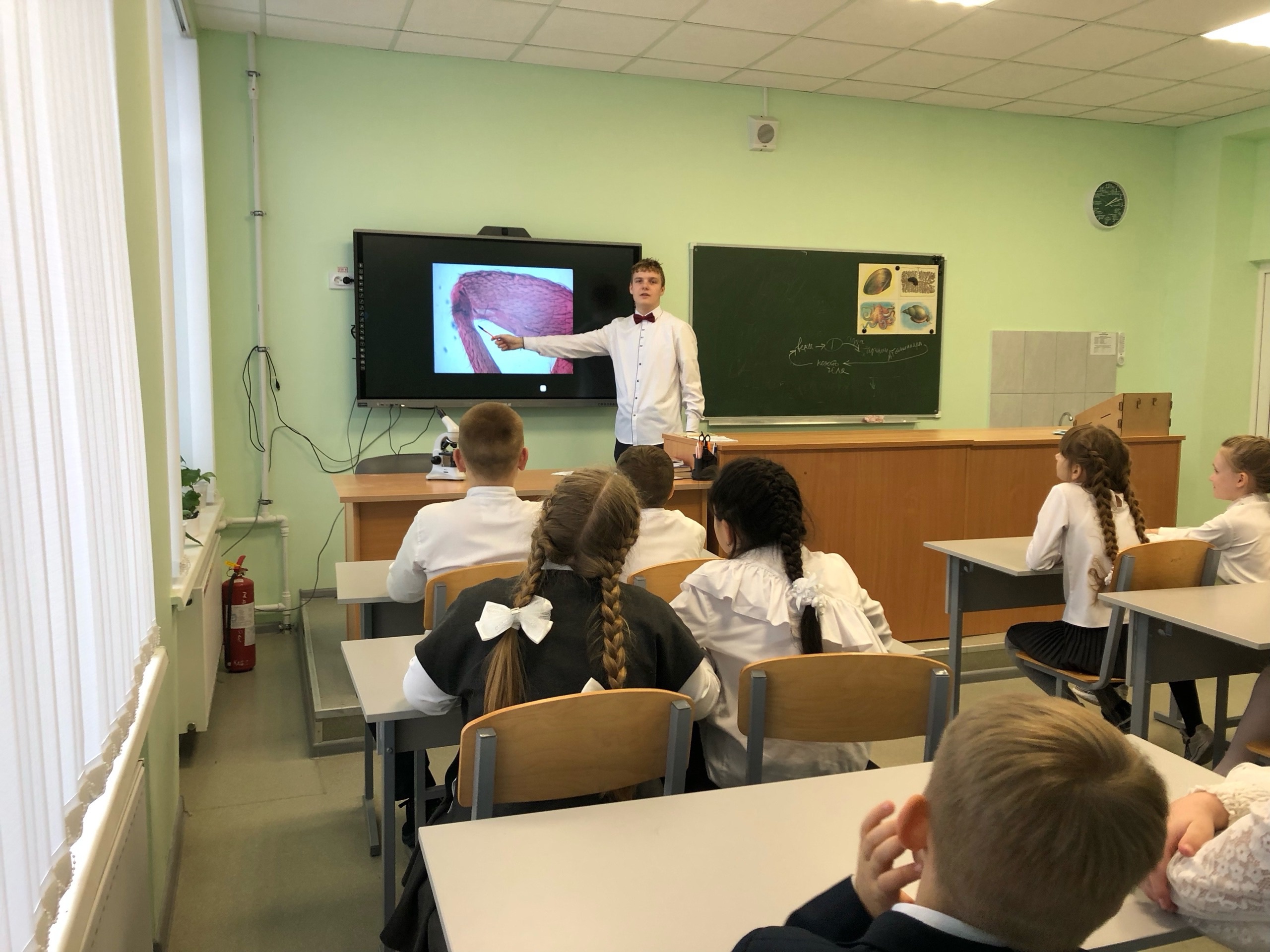 Изучение лапки мухи.